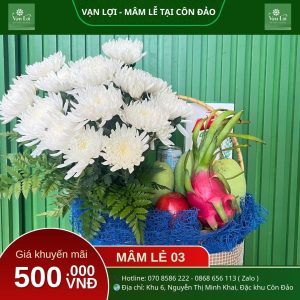 MÂM LỄ CÔ SÁU 03 - Đồ cúng Côn Đảo Vạn Lợi