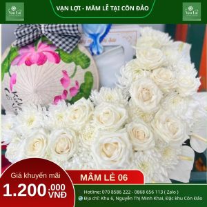 MÂM LỄ CÔ SÁU 06 - Đồ cúng Côn Đảo Vạn Lợi