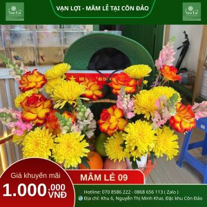 MÂM LỄ CHIẾN SĨ 09 - Đồ cúng Côn Đảo Vạn Lợi