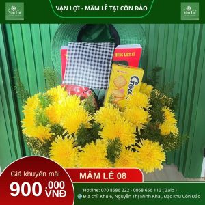 MÂM LỄ CHIẾN SĨ 08 – Đồ cúng Côn Đảo Vạn Lợi
