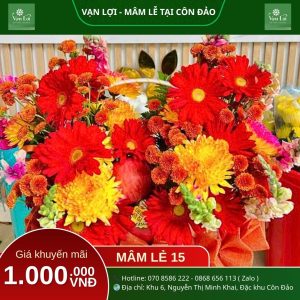 MÂM LỄ CHIẾN SĨ 15 – Đồ cúng Côn Đảo Vạn Lợi